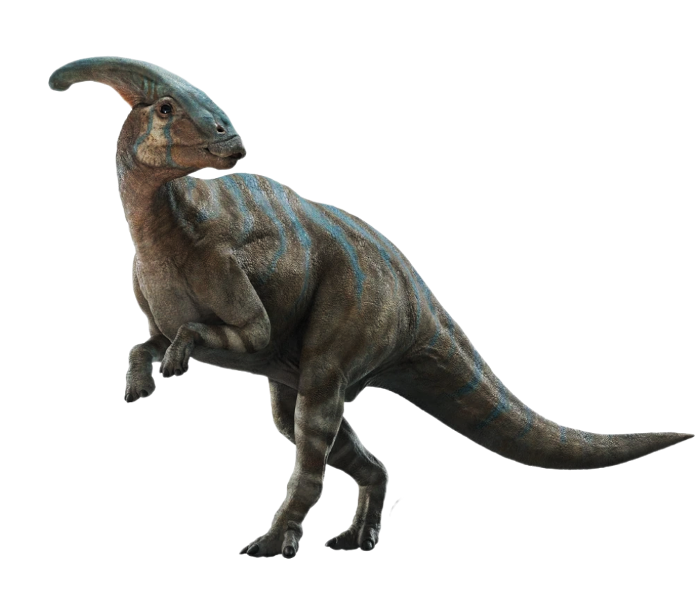 Rei Dinossauro Parasaurolophus Parasaurolophus Walkeri Fotografias Rei Dinossauro Parasaurolophus Parasaurolophus Walkeri Fotografias